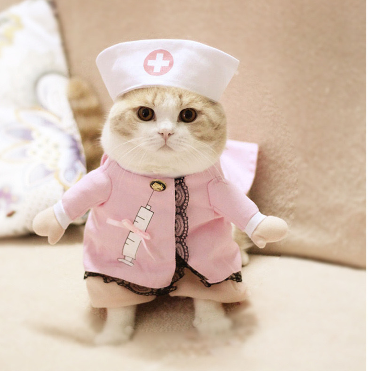 Pet Costume for Cats & Small Dogs – Nurse, Cowboy or Fisherman