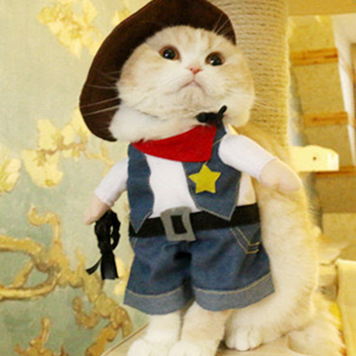 Pet Costume for Cats & Small Dogs – Nurse, Cowboy or Fisherman