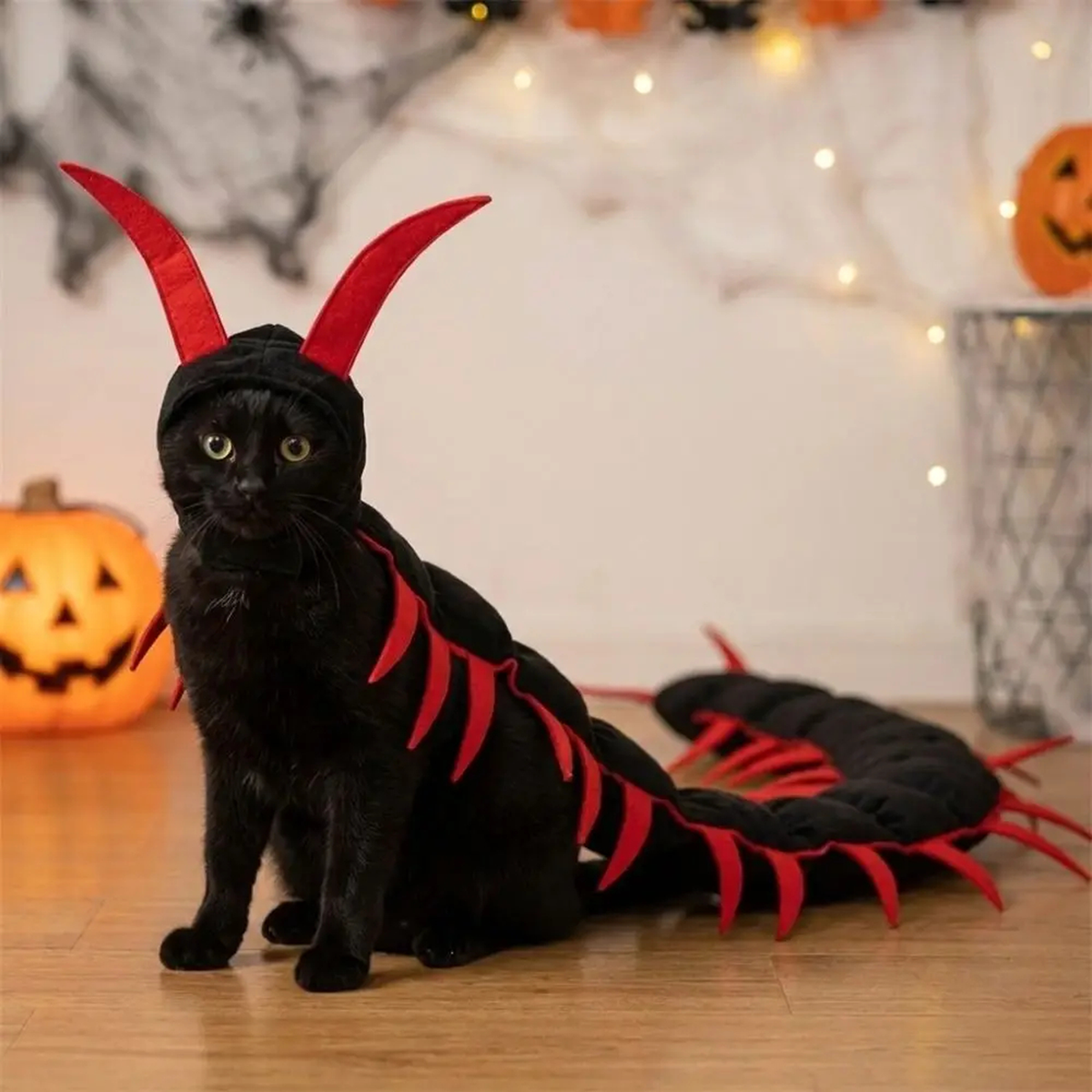 Fluffy Centipede Cat Costume – Halloween