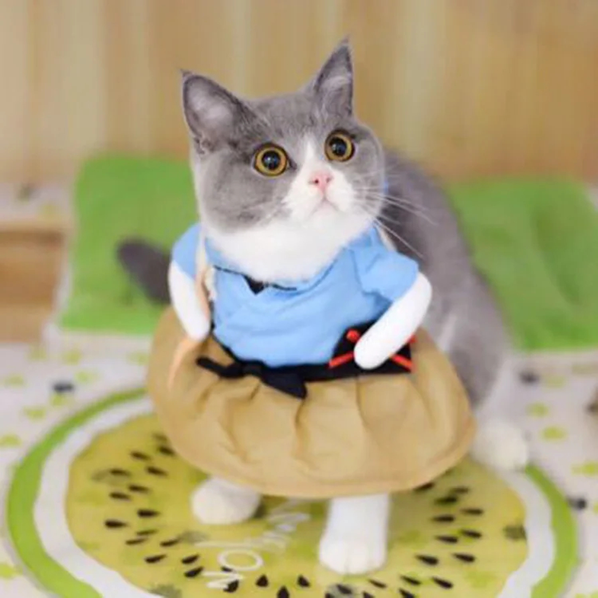 Pet Costume for Cats & Small Dogs – Nurse, Cowboy or Fisherman