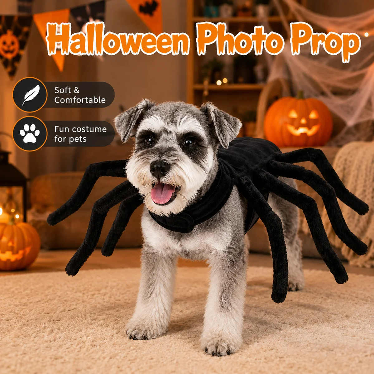 Spider Costume for Dogs & Cats – Halloween