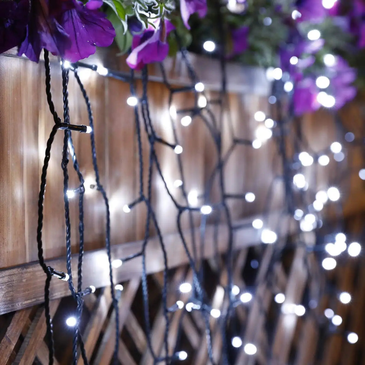 AlliLit Solar String Lights — Color and Length Options