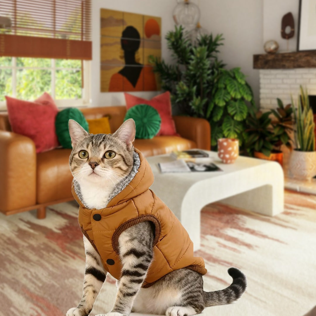 Cat wearing a brown hooded pet jacket in a living room